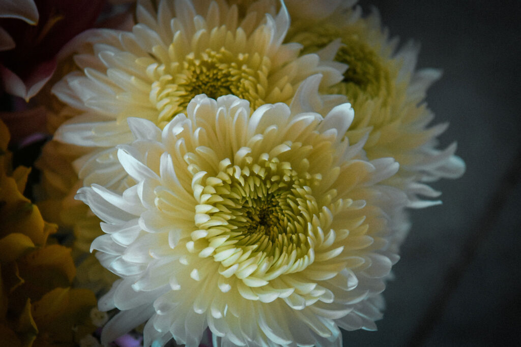 dsc 3172